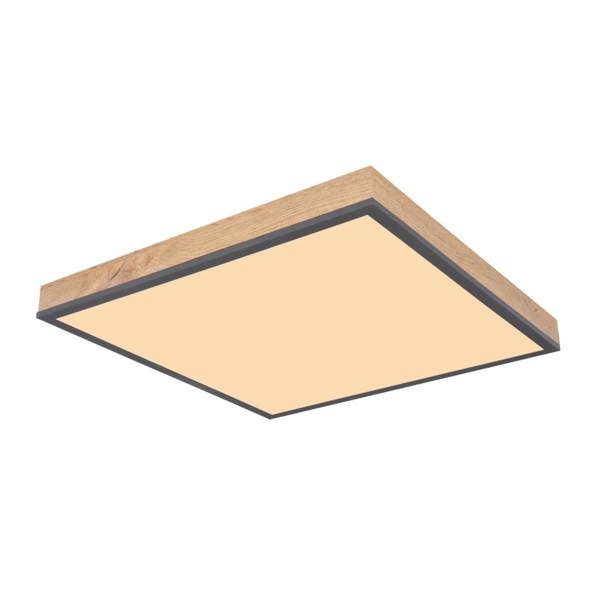 Globo - LED Lubinis šviestuvas LED/24W/230V