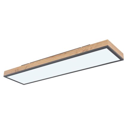 Globo - LED Pritemdomas lubinis šviestuvas LED/24W/230V 2700-6500K + nuotolinio valdymo pultas