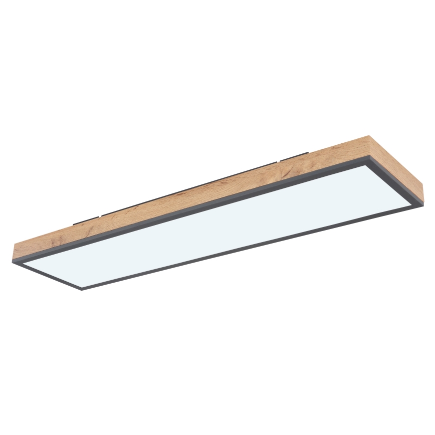 Globo - LED Pritemdomas lubinis šviestuvas LED/24W/230V 2700-6500K + nuotolinio valdymo pultas