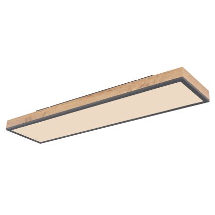 Globo - LED Pritemdomas lubinis šviestuvas LED/24W/230V 2700-6500K + nuotolinio valdymo pultas