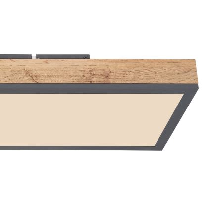 Globo - LED Pritemdomas lubinis šviestuvas LED/24W/230V 2700-6500K + nuotolinio valdymo pultas