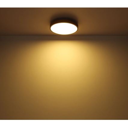 Globo - LED Pritemdomas lubinis šviestuvas LED/40W/230V 2700-6500K diametras 60 cm + nuotolinio valdymo pultas ruda/pilka