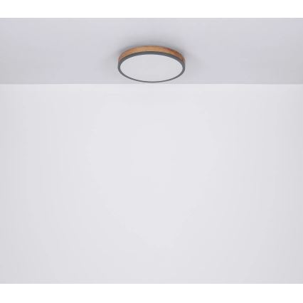 Globo - LED Pritemdomas lubinis šviestuvas LED/40W/230V 2700-6500K diametras 60 cm + nuotolinio valdymo pultas ruda/pilka
