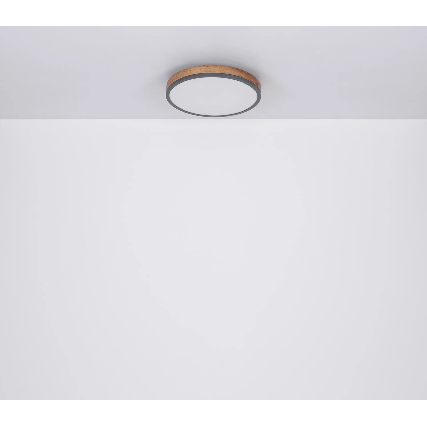 Globo - LED Pritemdomas lubinis šviestuvas LED/40W/230V 2700-6500K diametras 60 cm + nuotolinio valdymo pultas ruda/pilka