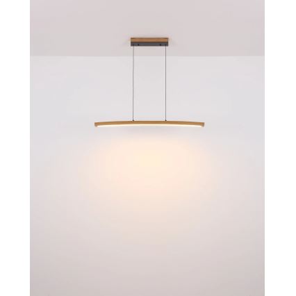 Globo - dimeriuojamas LED jutiklinis pakabinamas šviestuvas ant kabelio LED/18W/230V 3000K