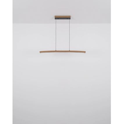 Globo - dimeriuojamas LED jutiklinis pakabinamas šviestuvas ant kabelio LED/18W/230V 3000K