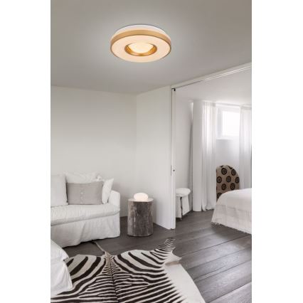 Globo - LED lubinis šviestuvas LED/24W/230V