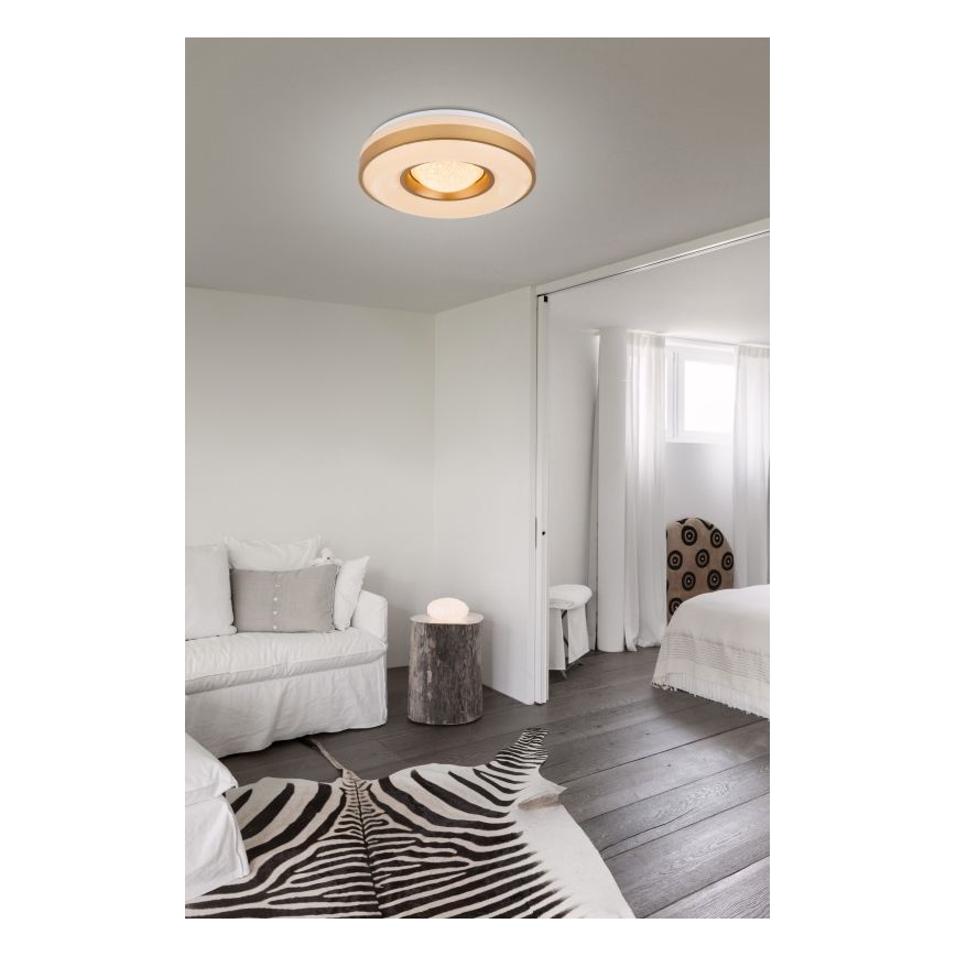 Globo - LED lubinis šviestuvas LED/24W/230V