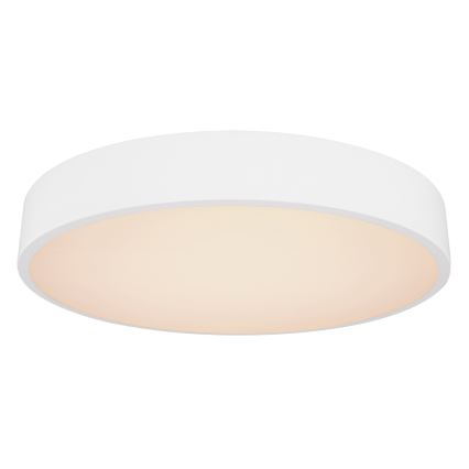 Globo - LED Reguliuojamas lubinis šviestuvas LED/24W/230V + valdymo pultas