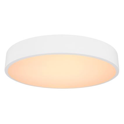 Globo - LED Reguliuojamas lubinis šviestuvas LED/24W/230V + valdymo pultas