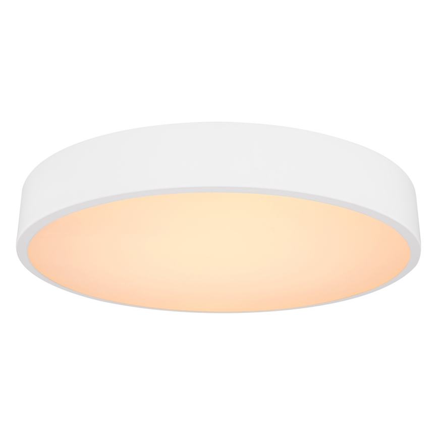 Globo - LED Reguliuojamas lubinis šviestuvas LED/24W/230V + valdymo pultas