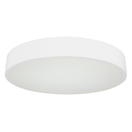Globo - LED Reguliuojamas lubinis šviestuvas LED/24W/230V + valdymo pultas