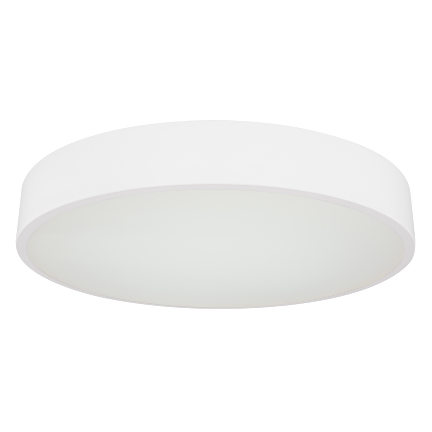 Globo - LED Reguliuojamas lubinis šviestuvas LED/24W/230V + valdymo pultas
