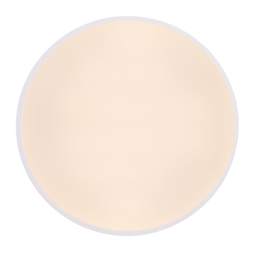 Globo - LED Reguliuojamas lubinis šviestuvas LED/24W/230V + valdymo pultas