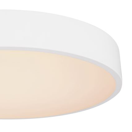 Globo - LED Reguliuojamas lubinis šviestuvas LED/24W/230V + valdymo pultas