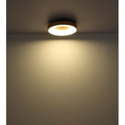 Globo - LED Pritemdomas lubinis šviestuvas LED/30W/230V + nuotolinio valdymo pultas