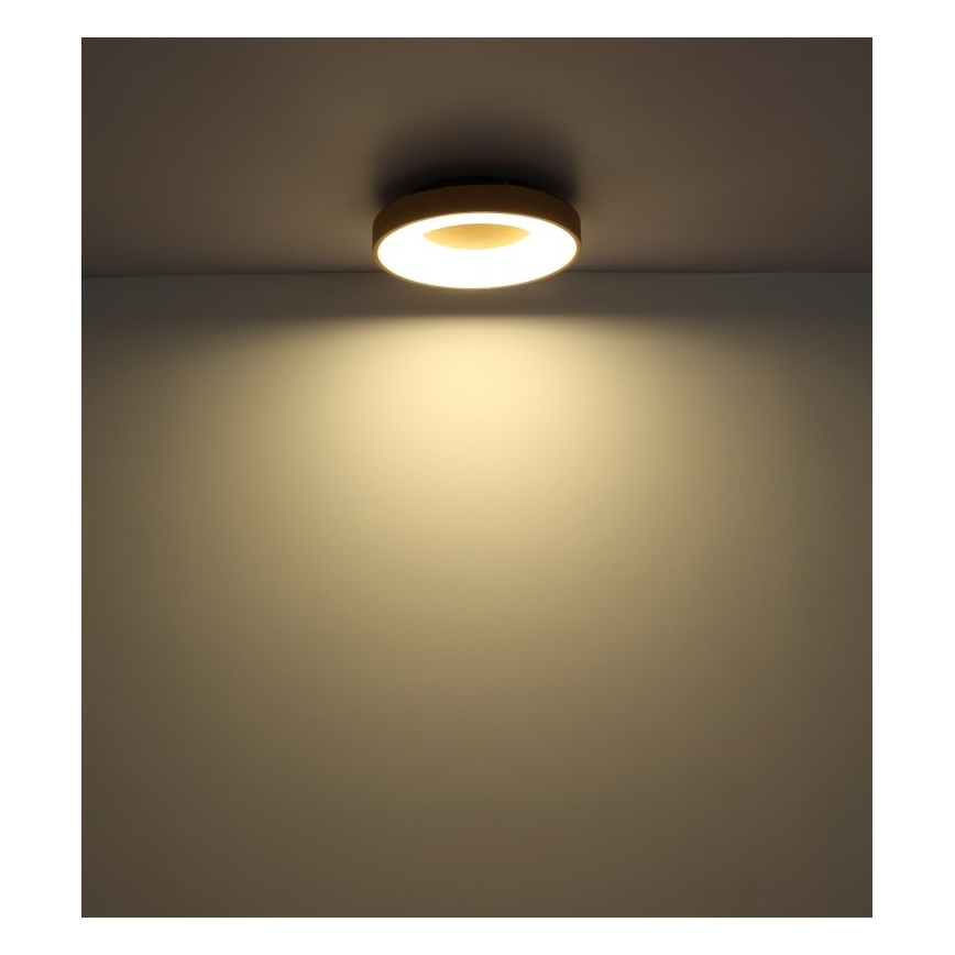 Globo - LED Pritemdomas lubinis šviestuvas LED/30W/230V + nuotolinio valdymo pultas