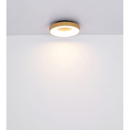 Globo - LED Pritemdomas lubinis šviestuvas LED/30W/230V + nuotolinio valdymo pultas