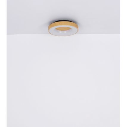 Globo - LED Pritemdomas lubinis šviestuvas LED/30W/230V + nuotolinio valdymo pultas