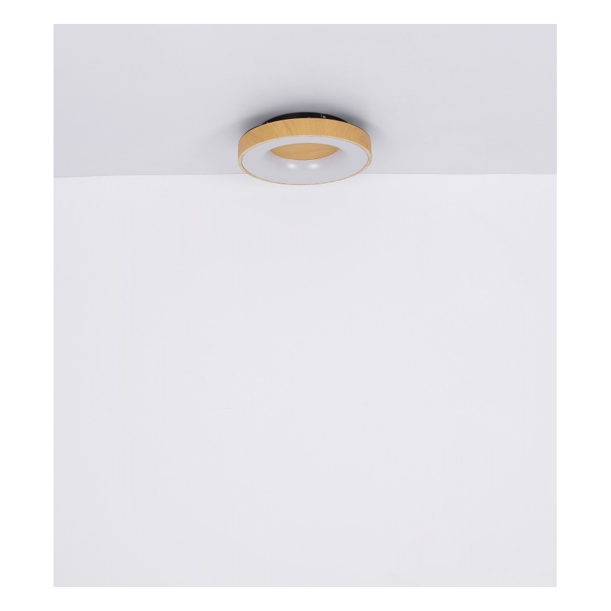 Globo - LED Pritemdomas lubinis šviestuvas LED/30W/230V + nuotolinio valdymo pultas