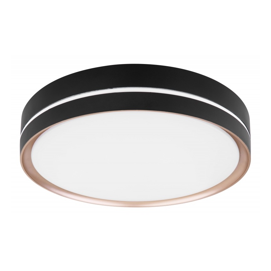 Globo - LED Pritemdomas lubinis šviestuvas LED/24W/230V + nuotolinio valdymo pultas