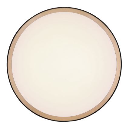 Globo - LED lubinis šviestuvas LED/24W/230V 3000/4500/6000K diametras 42 cm