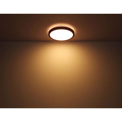 Globo - LED lubinis šviestuvas LED/24W/230V 3000/4500/6000K diametras 42 cm