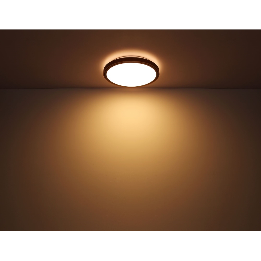 Globo - LED lubinis šviestuvas LED/24W/230V 3000/4500/6000K diametras 42 cm