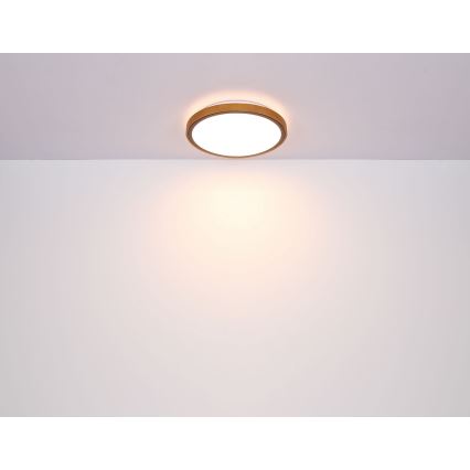 Globo - LED lubinis šviestuvas LED/24W/230V 3000/4500/6000K diametras 42 cm