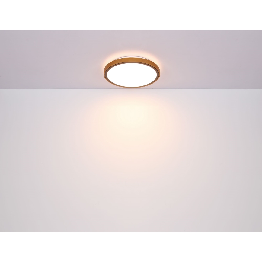 Globo - LED lubinis šviestuvas LED/24W/230V 3000/4500/6000K diametras 42 cm