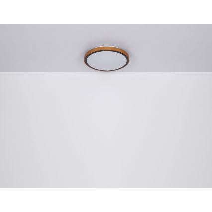 Globo - LED lubinis šviestuvas LED/24W/230V 3000/4500/6000K diametras 42 cm