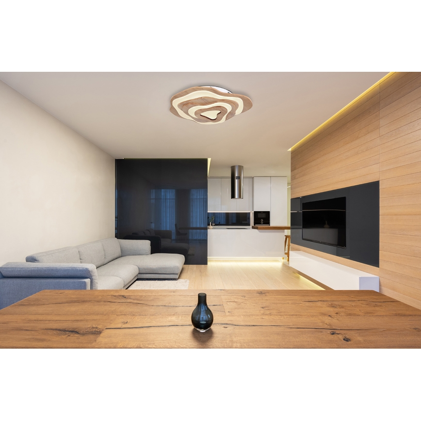 Globo - LED Pritemdomas lubinis šviestuvas LED/40W/230V 2700-6000K + nuotolinio valdymo pultas