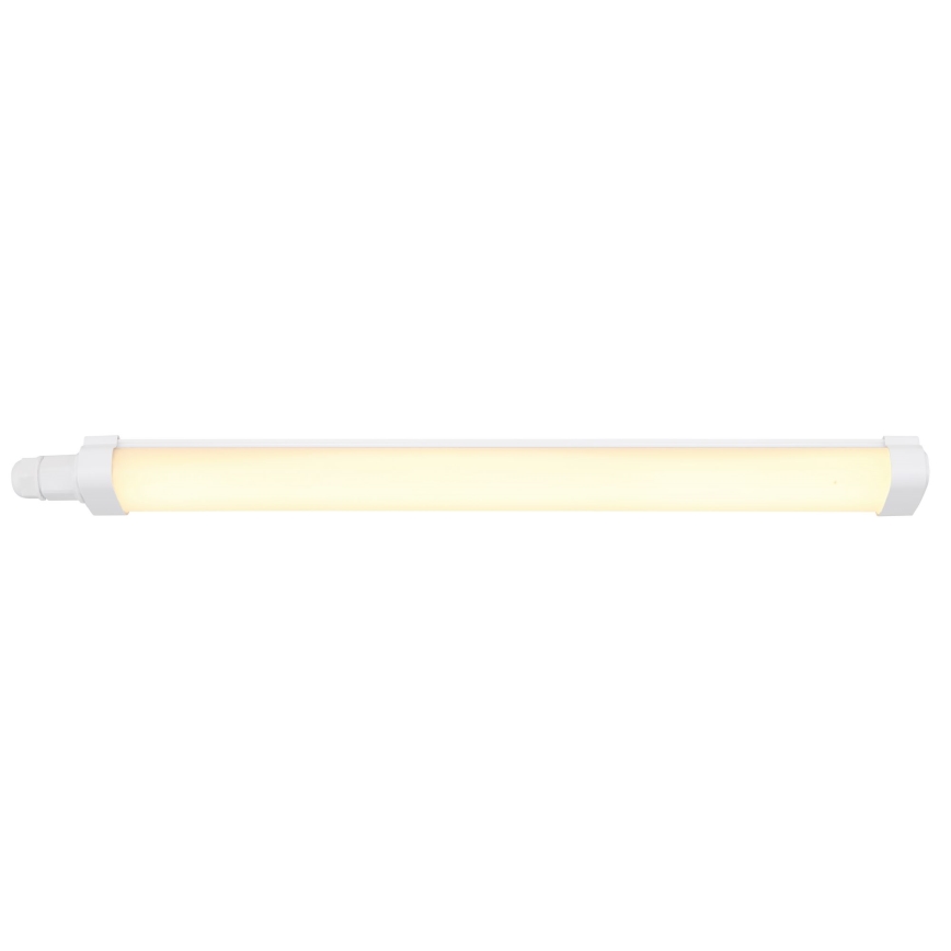 Globo - LED virtuvės šviestuvas, kabinamas po spintele LED/15W/230V 55 cm IP65