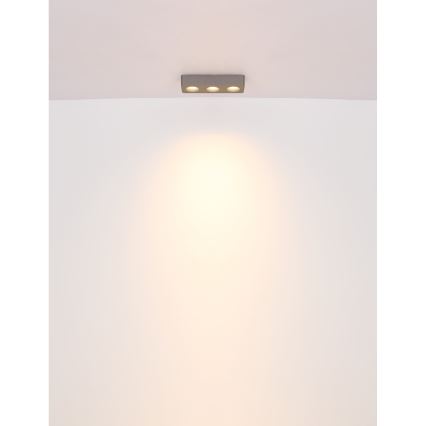 Globo - LED lubinis šviestuvas LED/14W/230V 11,7x33,2 cm