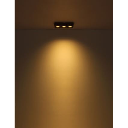 Globo - LED lubinis šviestuvas LED/14W/230V 11,7x33,2 cm