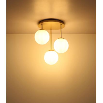 Globo - Prigludusi žalvarinė liustra 3xE14/25W/230V