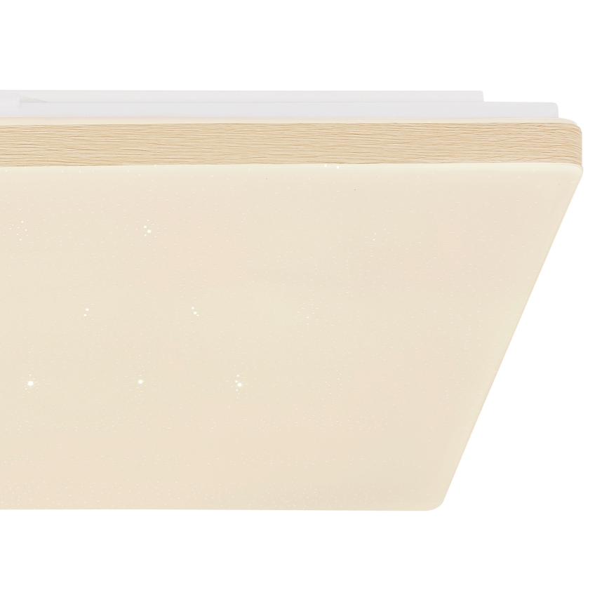 Globo - reguliuojamas LED lubų šviestuvas LED/24W/230V Wi-Fi Tuya + nuotolinis valdymas