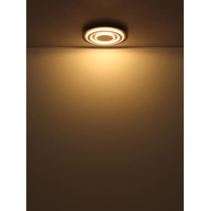 Globo - LED lubinis šviestuvas LED/24W/230V 3000K diametras 32 cm antracitas