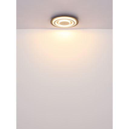 Globo - LED lubinis šviestuvas LED/24W/230V 3000K diametras 32 cm