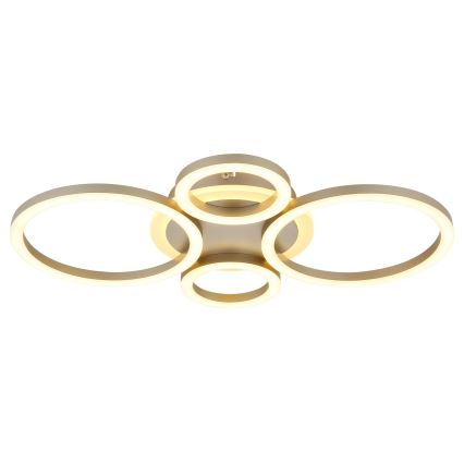 Globo - lubinis LED šviestuvas LED/40W/230V 2700/4500/6500K Ø 35,5x53 cm žalvario
