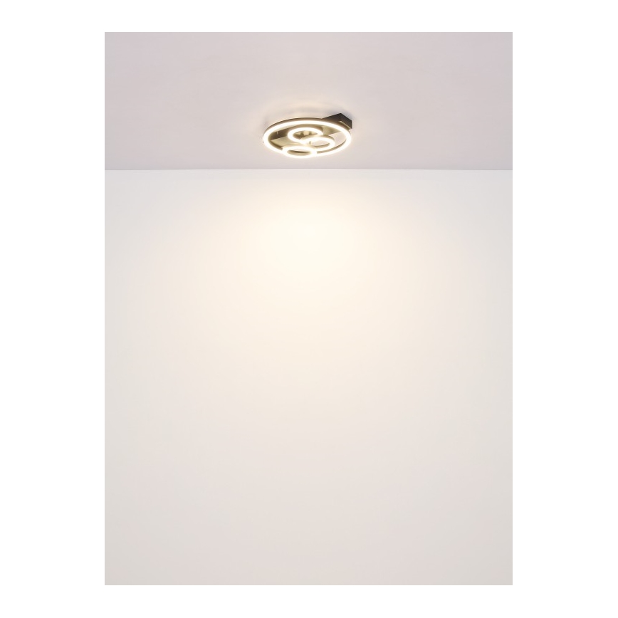Globo - LED Pritemdomas lubinis šviestuvas LED/40W/230V 2700-6500K diametras 35x33 cm + nuotolinio valdymo pultas