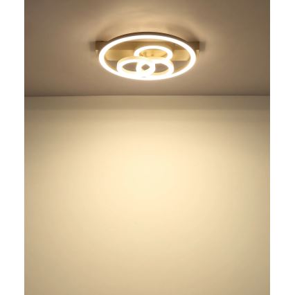 Globo - dimeriuojamas LED lubų šviestuvas LED/40W/230V 2700-6500K matmenys 35x33 cm žalvario apdaila + nuotolinis valdymas