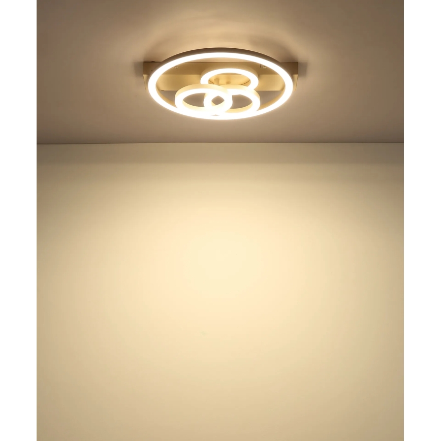 Globo - dimeriuojamas LED lubų šviestuvas LED/40W/230V 2700-6500K matmenys 35x33 cm žalvario apdaila + nuotolinis valdymas