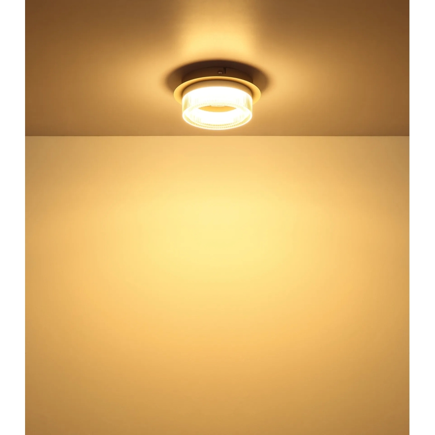 Globo - LED lubų šviestuvas, 8 W, 230 V, 3000 K, Ø 16 cm