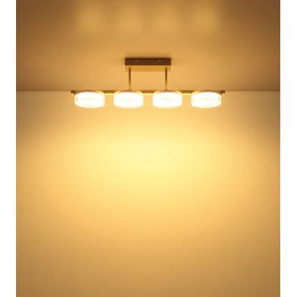 Globo - LED prie lubų montuojama liustra LED/24W/230V 3000K