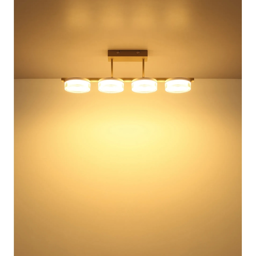 Globo - LED prie lubų montuojama liustra LED/24W/230V 3000K