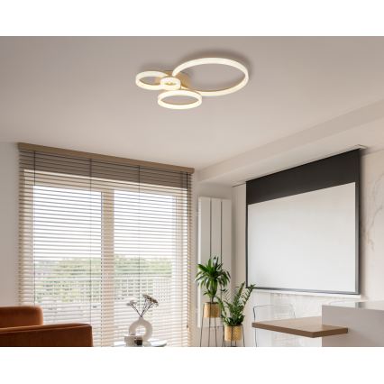 Globo - LED lubinis šviestuvas LED/40W/230V 3000K 64,5x75 cm