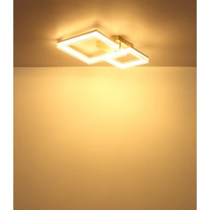 Globo - LED lubinis šviestuvas LED/24W/230V 3000K 46,5x62,5 cm