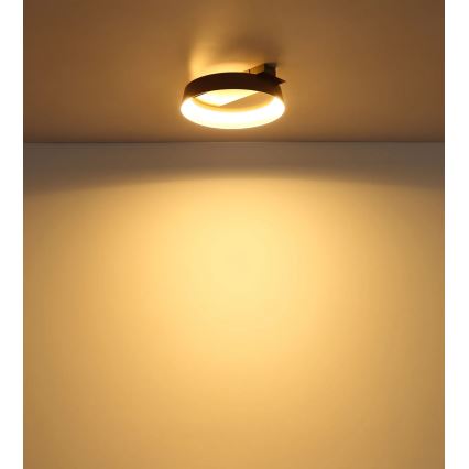 Globo – lubinis LED šviestuvas, 12 W, 230 V, 3000 K, 26 x 25 cm