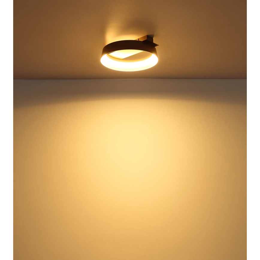 Globo – lubinis LED šviestuvas, 12 W, 230 V, 3000 K, 26 x 25 cm